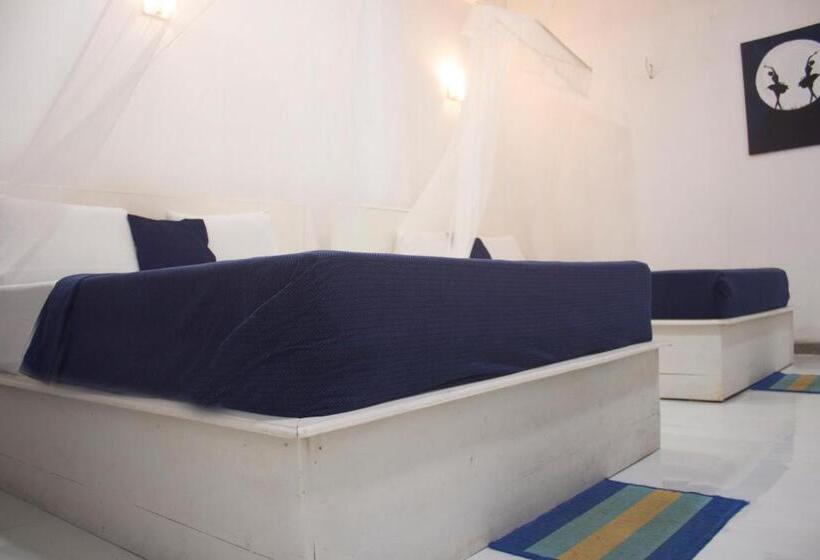 اتاق لوکس خانوادگی, Ella Walkers Nest