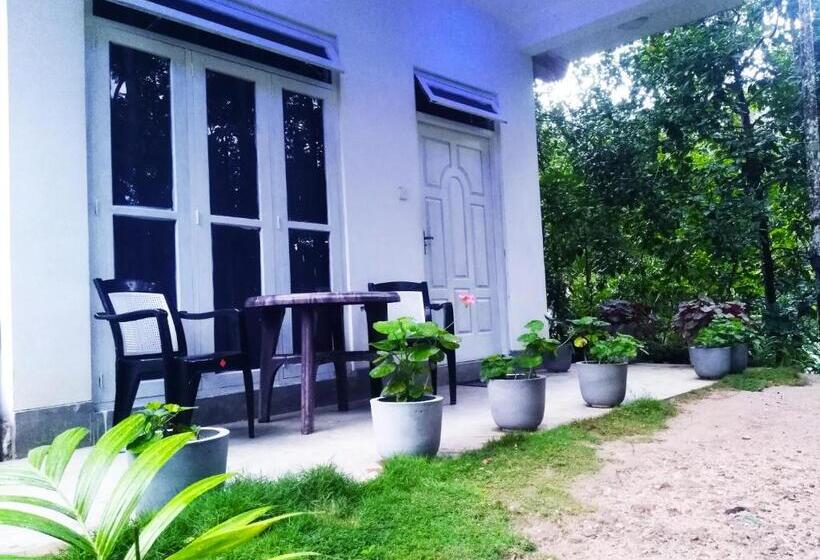 اتاق لوکس خانوادگی, Ella Walkers Nest