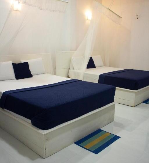 اتاق لوکس خانوادگی, Ella Walkers Nest