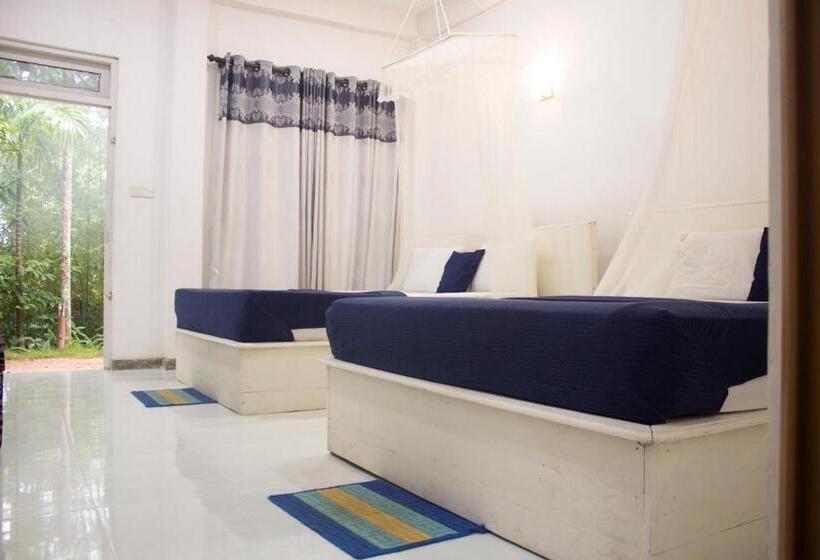 اتاق لوکس خانوادگی, Ella Walkers Nest