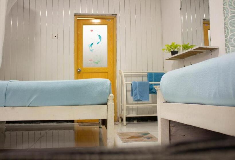 اتاق راحتی سه تخته, Ella Walkers Nest