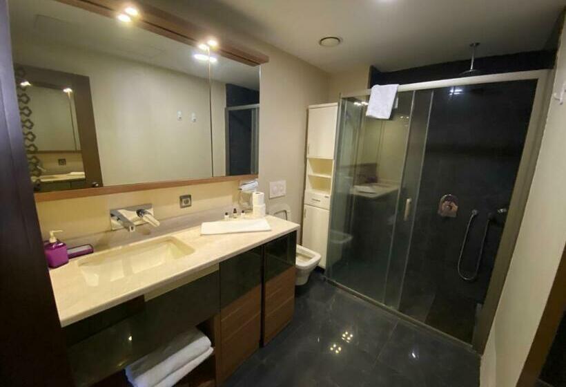 اتاق خانوادگی, Sabi̇ha Gokcen İstanbul Houses