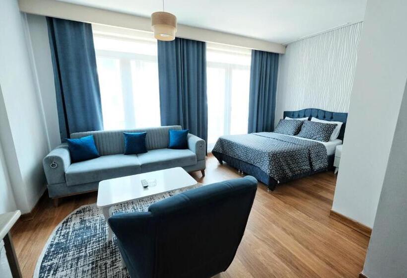 اتاق استاندارد, Sabi̇ha Gokcen İstanbul Houses