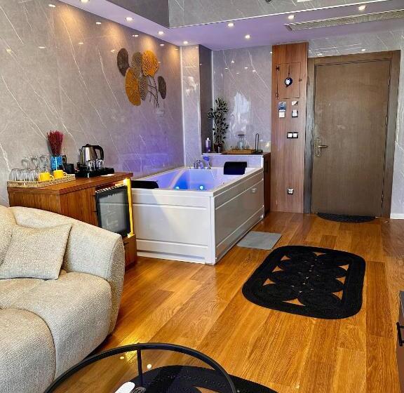 اتاق سوپریور با تخت بزرگ, Sabi̇ha Gokcen İstanbul Houses