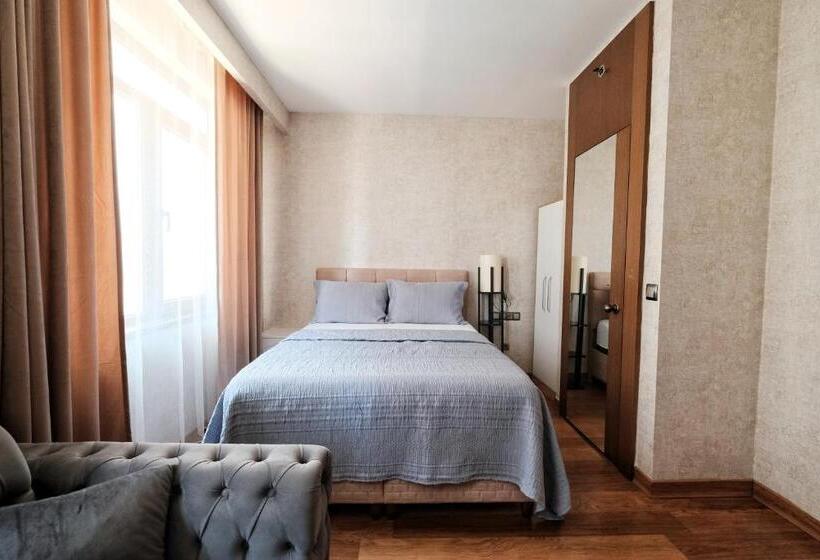 اتاق استاندارد, Sabi̇ha Gokcen İstanbul Houses