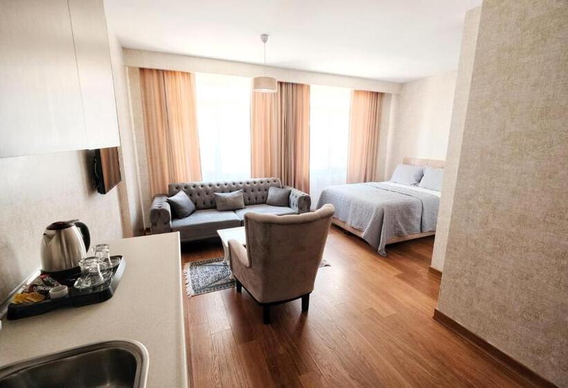 اتاق استاندارد, Sabi̇ha Gokcen İstanbul Houses