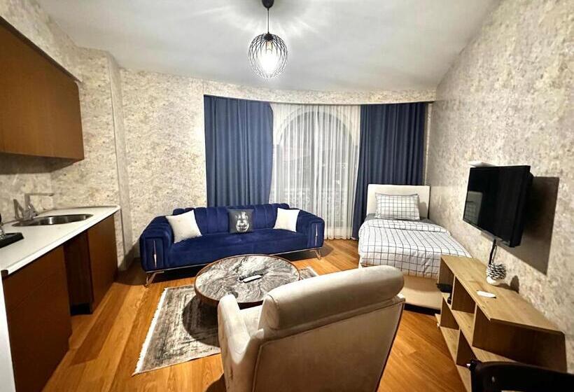 سوییت اجرایی, Sabi̇ha Gokcen İstanbul Houses