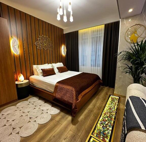 اتاق سوپریور با تخت بزرگ, Sabi̇ha Gokcen İstanbul Houses