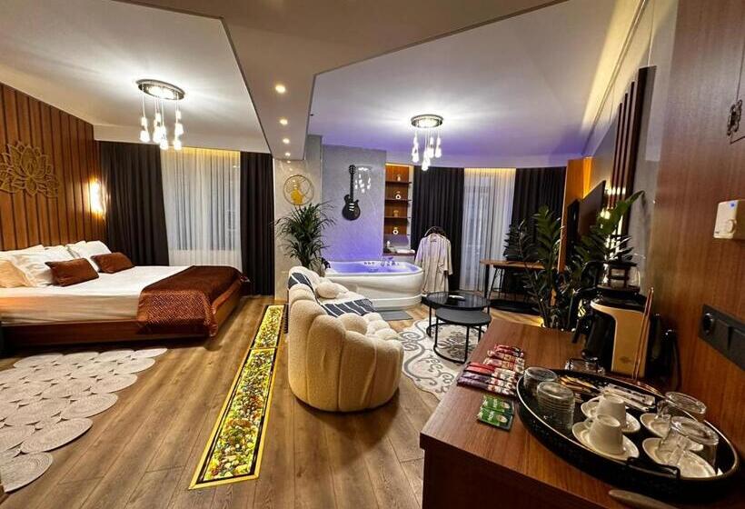 اتاق سوپریور با تخت بزرگ, Sabi̇ha Gokcen İstanbul Houses