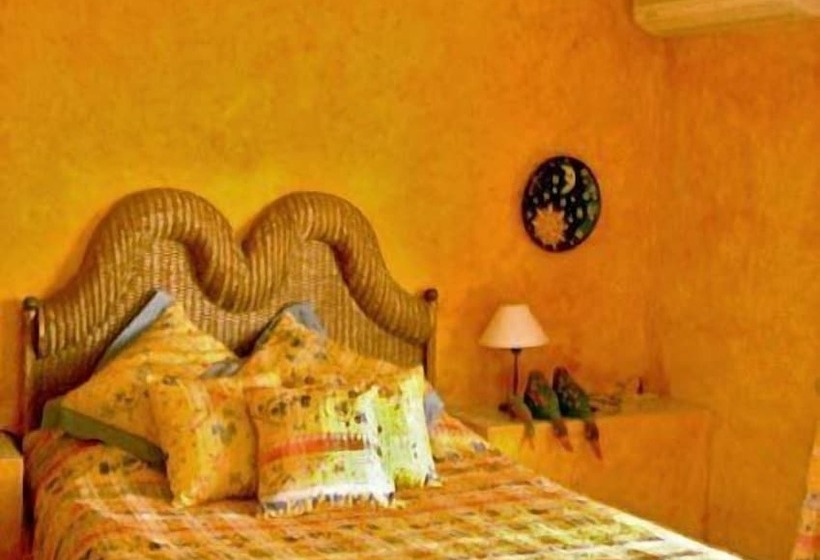 Quarto Estandar, La Bluette