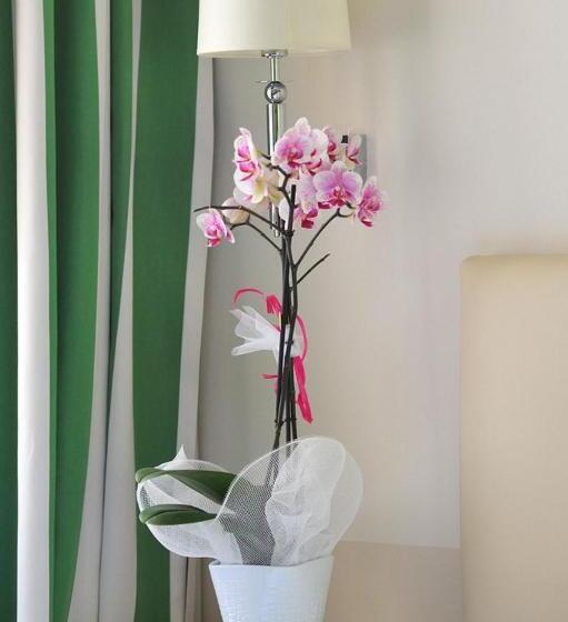 غرفة قياسية إطلالة جانبية علي البحر, Lolli Palace