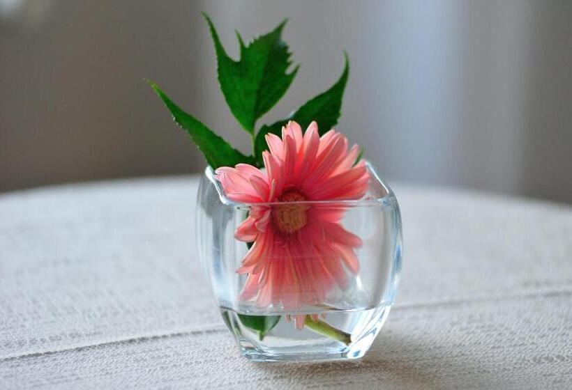 غرفة كلاسيكية ثلاثية, Lolli Palace