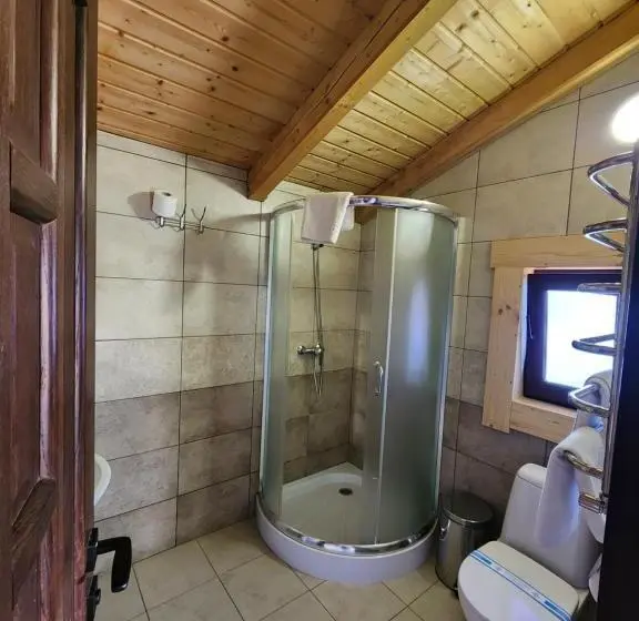 آپارتمان 1 خوابه با بالکن, Apartments Chalet Girska Hatyna