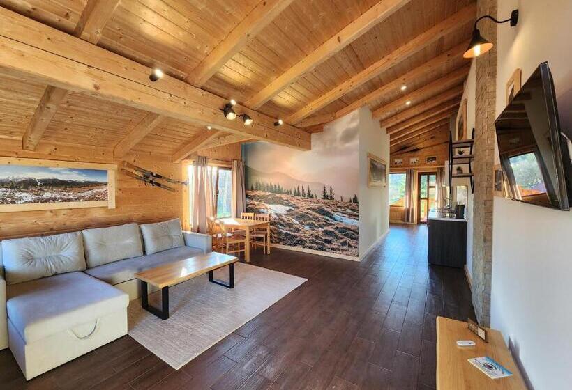 آپارتمان 1 خوابه با بالکن, Apartments Chalet Girska Hatyna