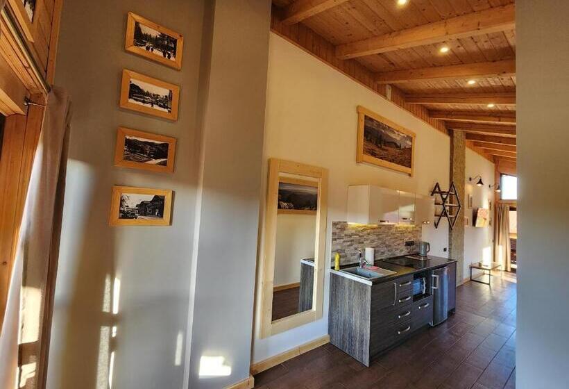 آپارتمان 1 خوابه با بالکن, Apartments Chalet Girska Hatyna