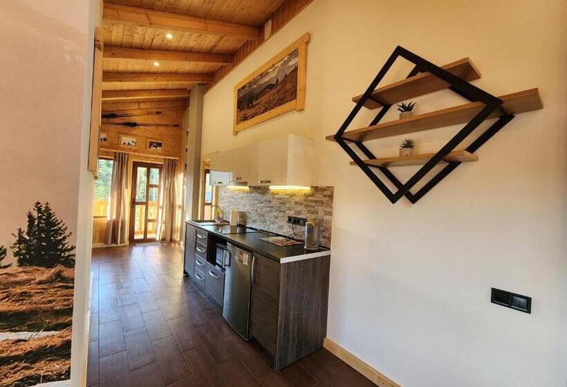 Апартаменты 1 Спальня с Балконом, Apartments Chalet Girska Hatyna