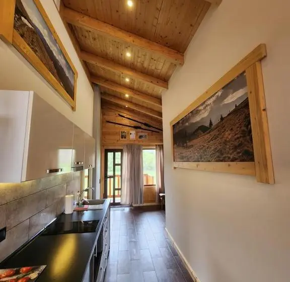 آپارتمان لوکس 1 خوابه, Apartments Chalet Girska Hatyna