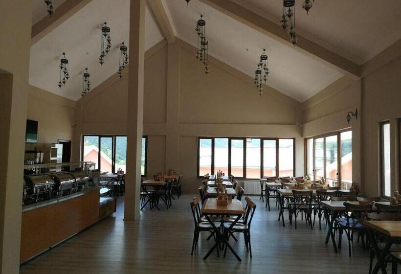 اتاق استاندارد, Hamsikoy