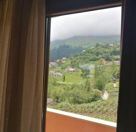 اتاق استاندارد, Hamsikoy