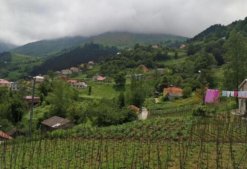 اتاق استاندارد, Hamsikoy