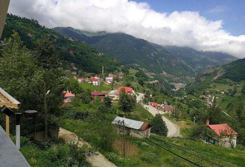 بنگله خانوادگی, Hamsikoy