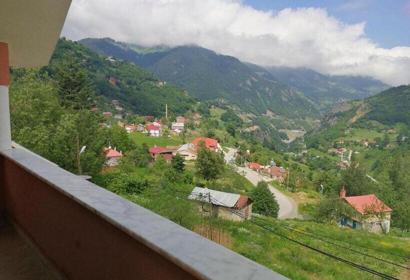 بنگله خانوادگی, Hamsikoy