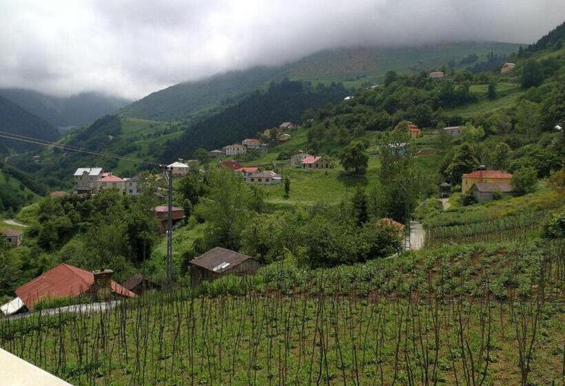 اتاق استاندارد سه تخته با بالکن, Hamsikoy