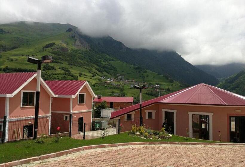 استودیو استاندارد با بالکن, Hamsikoy