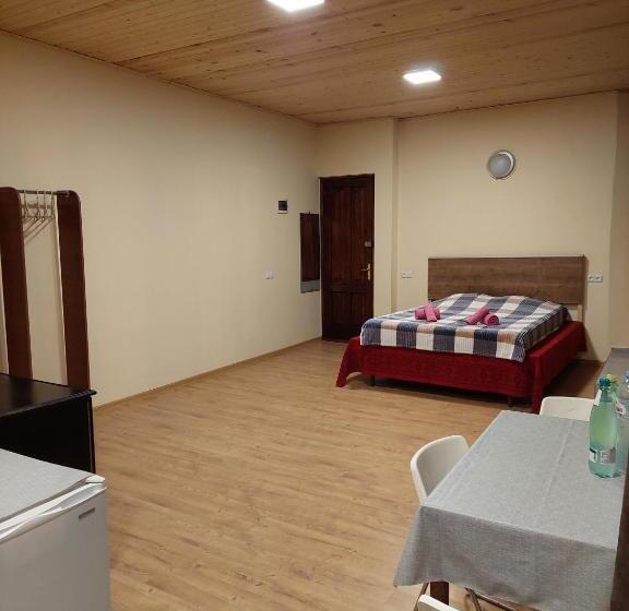 استودیوی استاندارد, Guest House Gege