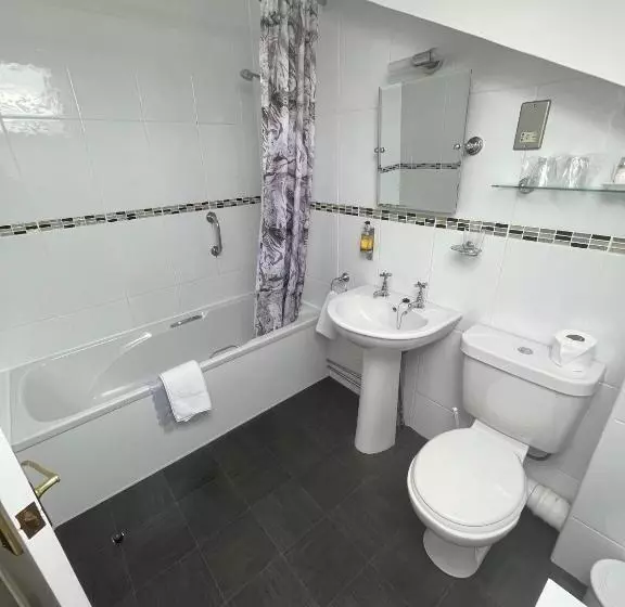 اتاق استاندارد با تخت بزرگ, Bryn Derwen Guest House