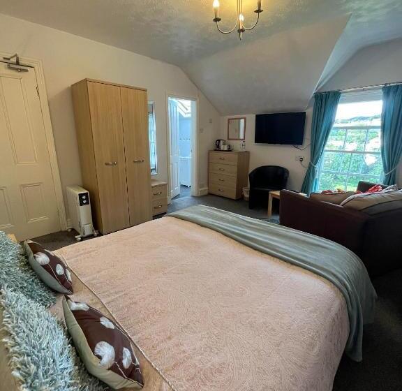 غرفة قياسية سرير كينج, Bryn Derwen Guest House