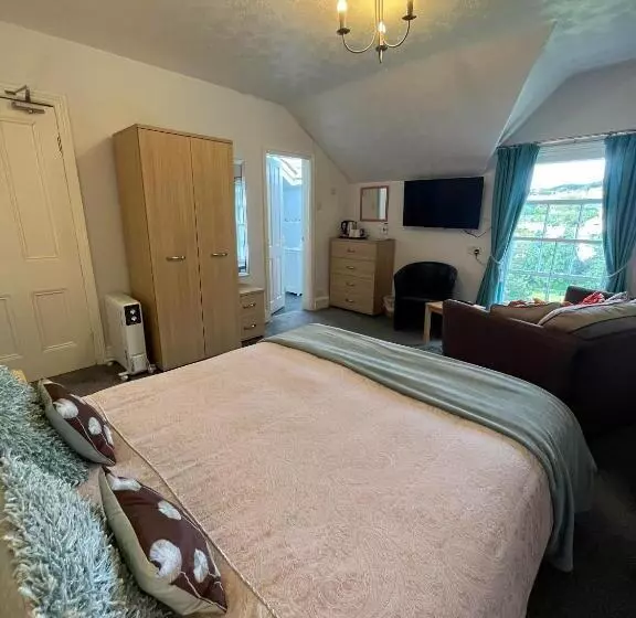 اتاق استاندارد با تخت بزرگ, Bryn Derwen Guest House
