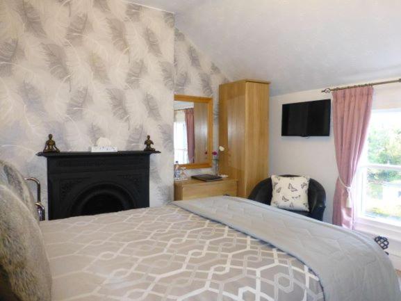 غرفة قياسية فردية, Bryn Derwen Guest House