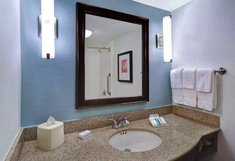 Suite King Bed