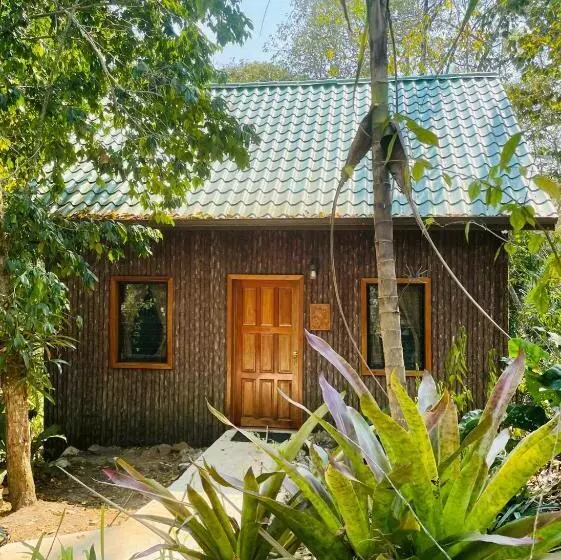 デラックスルーム, Mariposa Jungle Lodge
