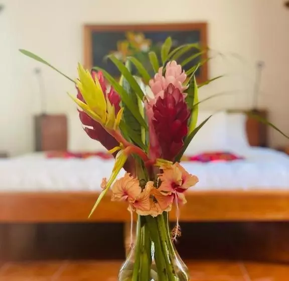 デラックスルーム, Mariposa Jungle Lodge