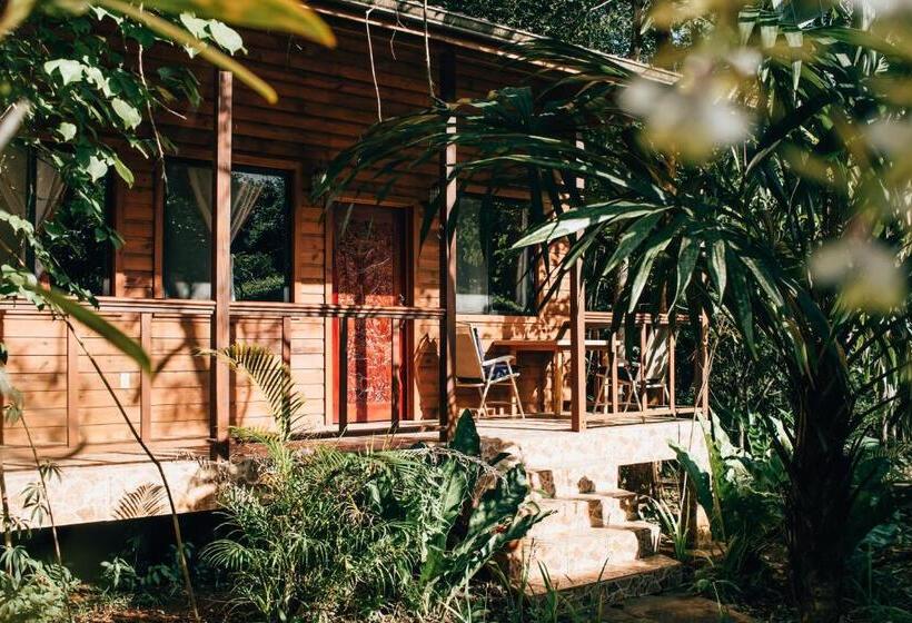 جناح إدارى, Mariposa Jungle Lodge