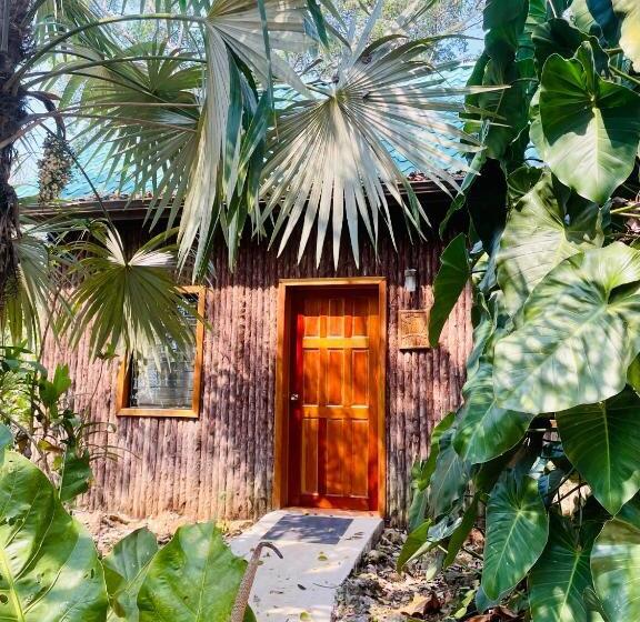 جناح عائلي, Mariposa Jungle Lodge