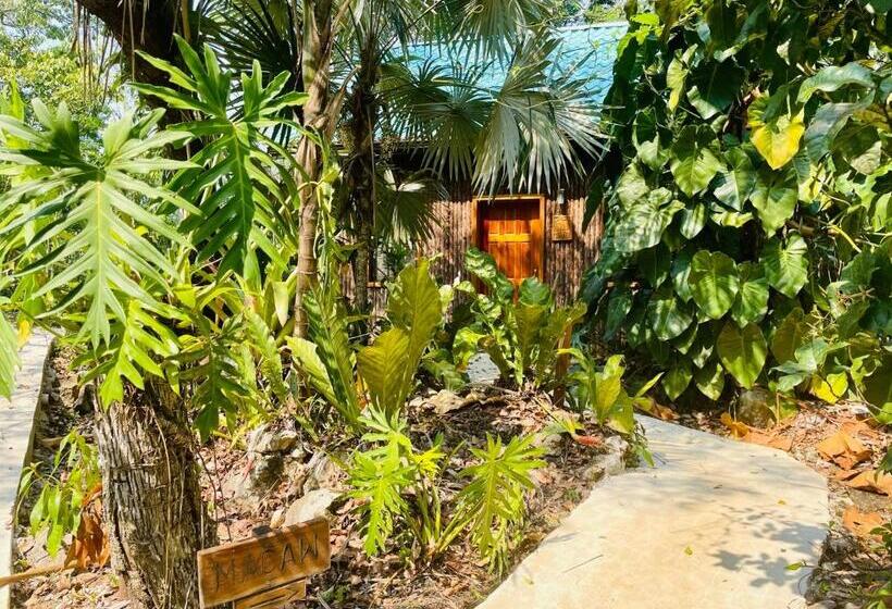 سوییت خانوادگی, Mariposa Jungle Lodge