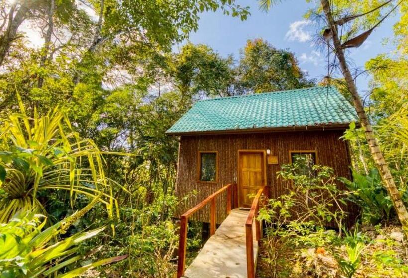 غرفة ديلوكس سرير كينج, Mariposa Jungle Lodge