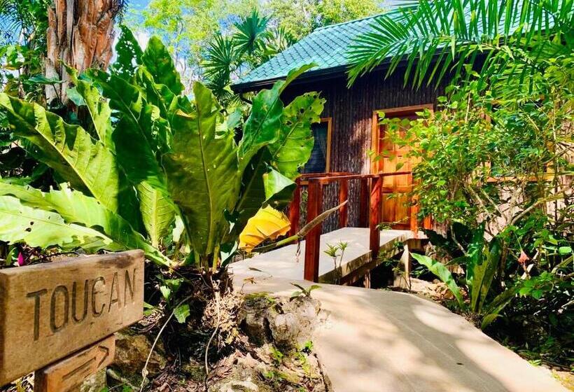 غرفة ديلوكس رباعية, Mariposa Jungle Lodge