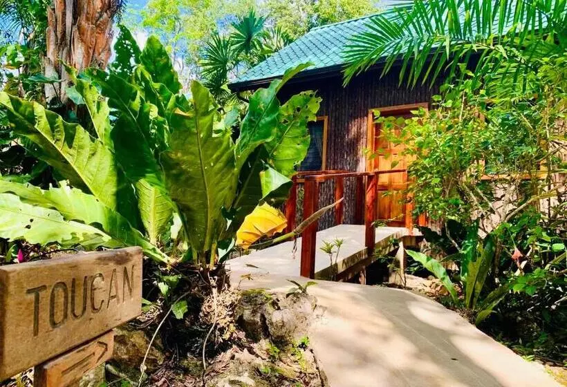 デラックスの4人部屋, Mariposa Jungle Lodge
