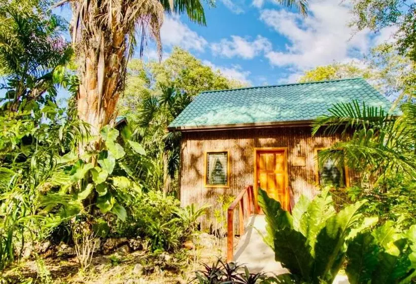 デラックスの4人部屋, Mariposa Jungle Lodge