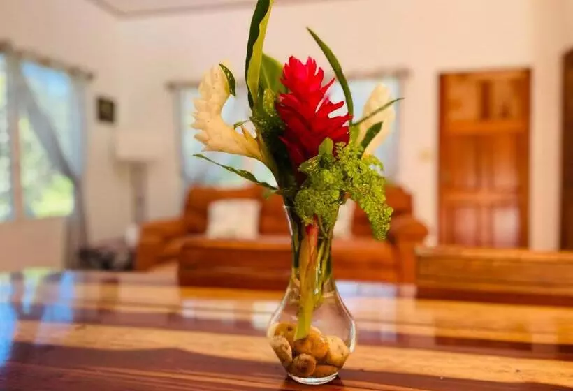 デラックスバンガロー, Mariposa Jungle Lodge