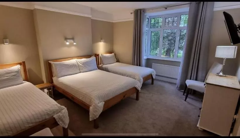 ファミリールーム, Salamander Guest House