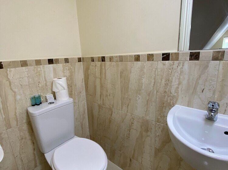 Номер Стандарт Трехместный, Buckingham