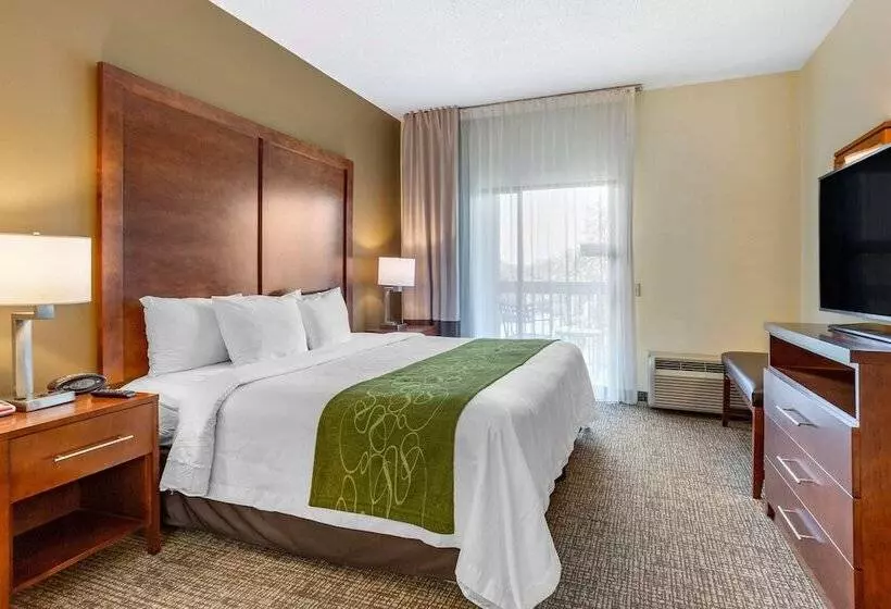 スイート, Holiday Inn Express & Suites Leesburg   Historic District, An Ihg