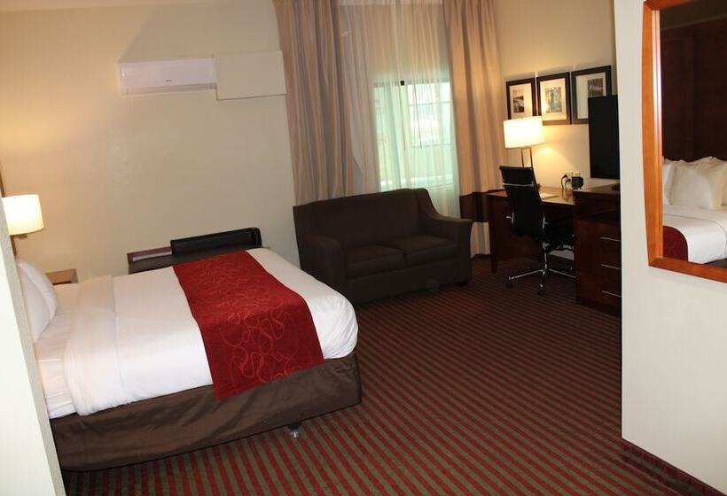 スイート, Holiday Inn Express & Suites Leesburg   Historic District, An Ihg