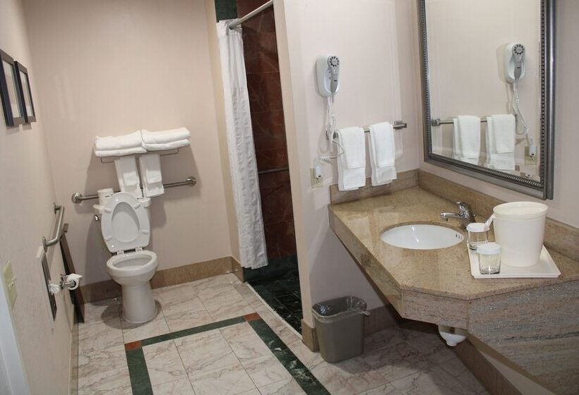 スイート, Holiday Inn Express & Suites Leesburg   Historic District, An Ihg