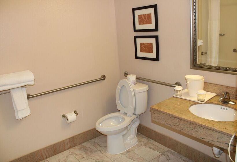 Люкс Адаптированный для Инвалидов, Holiday Inn Express & Suites Leesburg   Historic District, An Ihg